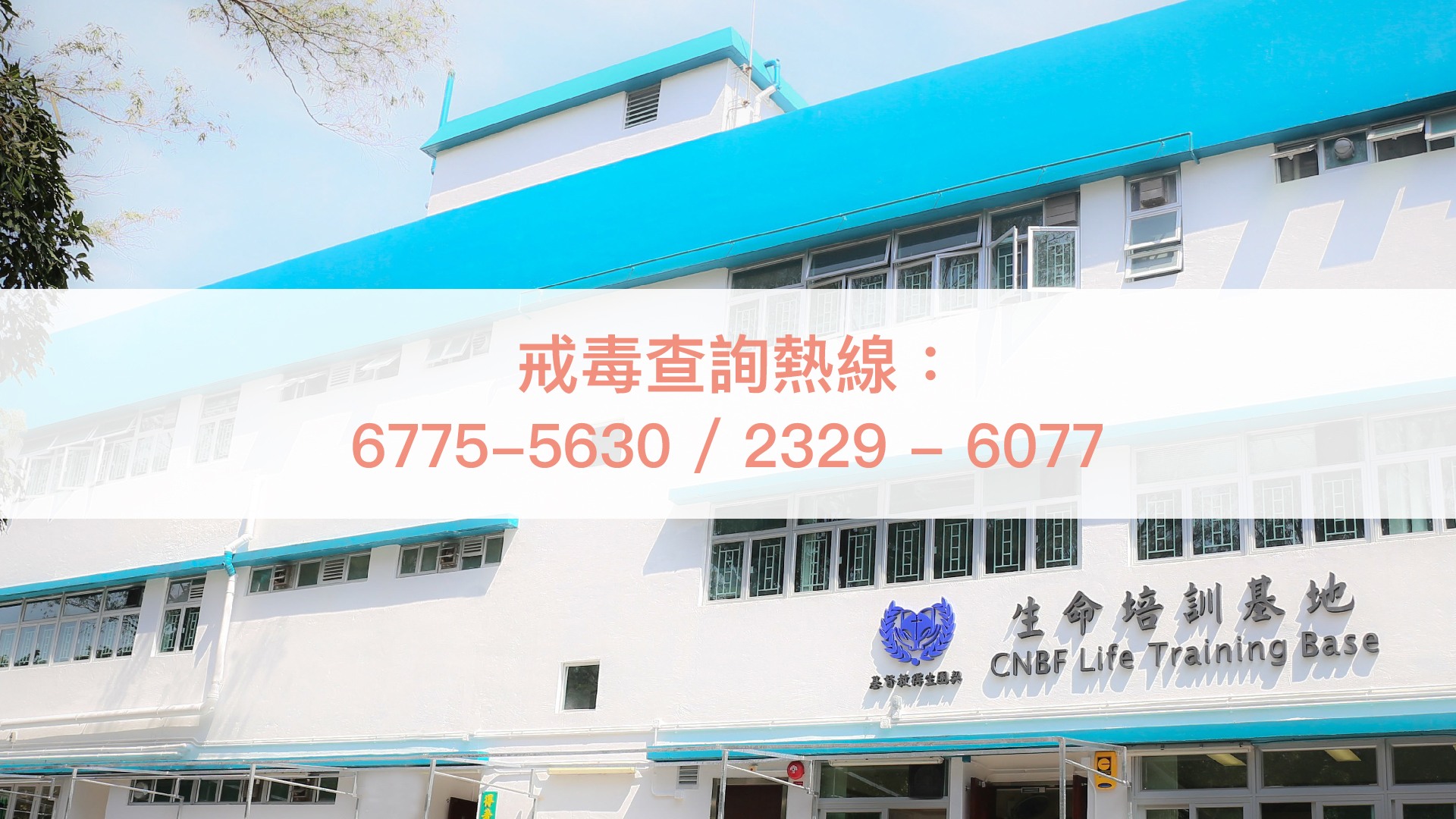 查詢熱線67755630或23296077